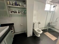 Blk 119 Bishan Street 12 (Bishan), HDB Executive #585596451